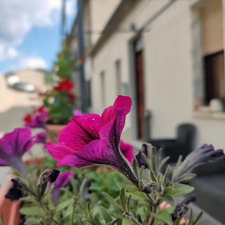 Pietrapantone Bed and breakfast Pietrapertosa